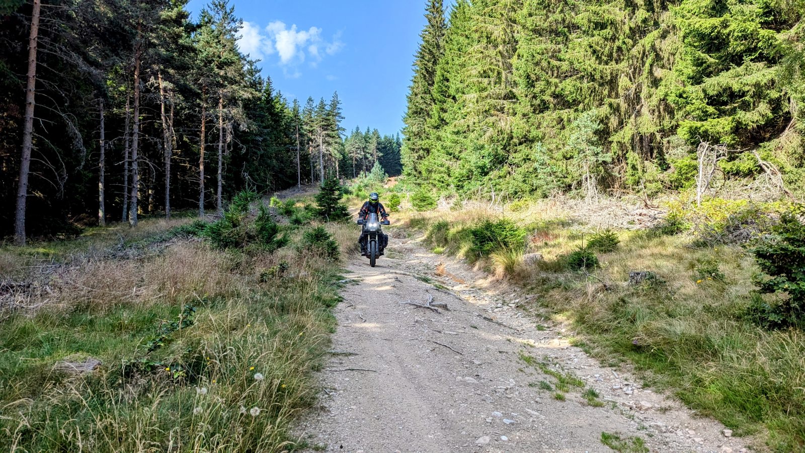 Moto-trail-tenere-700-foret