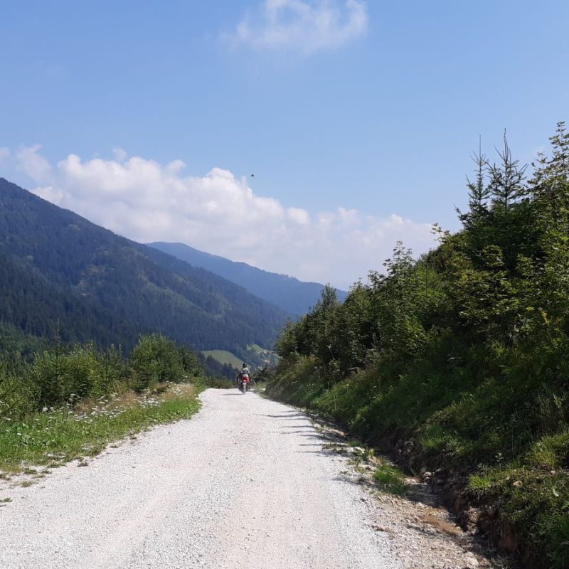 piste-foret-road-trip-slovenie