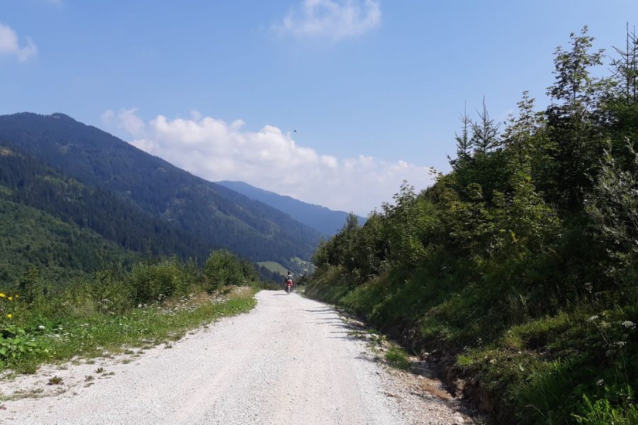 piste-foret-road-trip-slovenie