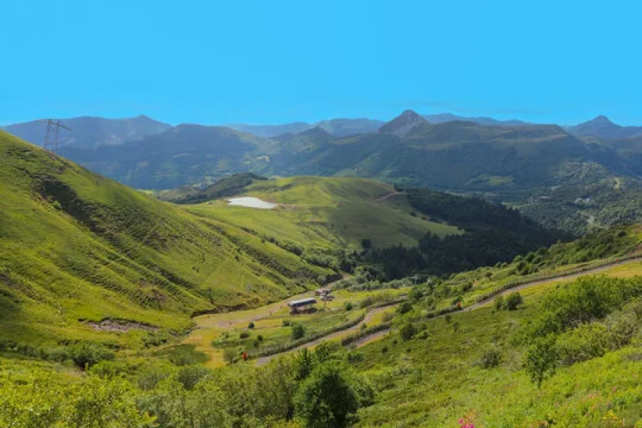 Cantal